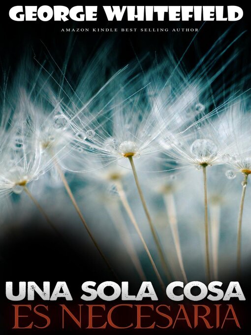 Title details for Una sola cosa es necesaria by Felipe Chavarro - Available